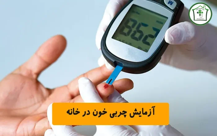 آزمایش چربی خون در خانه (راهنمای جامع)