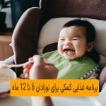 برنامه غذایی کمکی برای نوزادان 6 تا 12 ماه