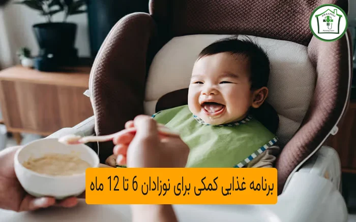 برنامه غذایی کمکی برای نوزادان 6 تا 12 ماه