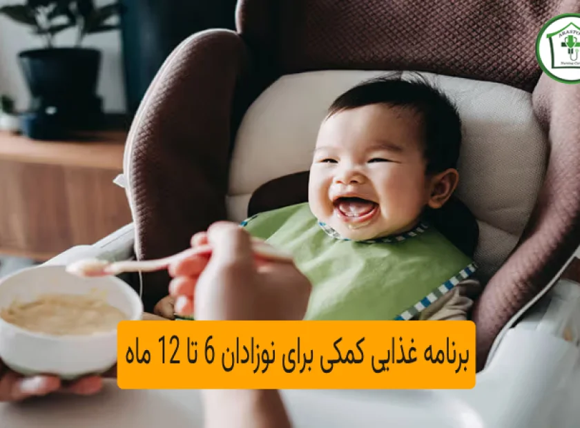 برنامه غذایی کمکی برای نوزادان 6 تا 12 ماه